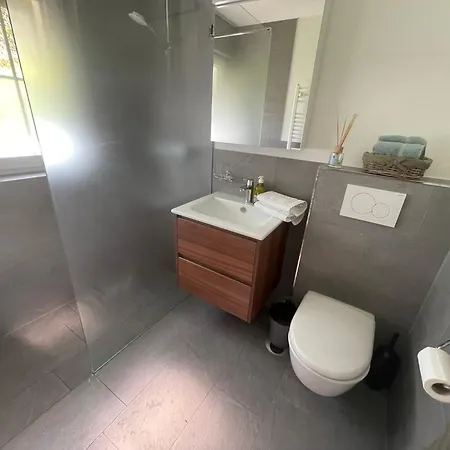 Im Wieselti Langwies