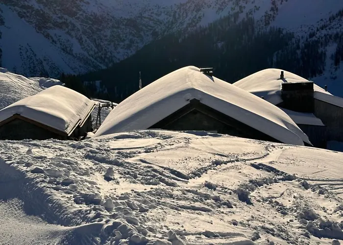 Im Wieselti Chalé Langwies